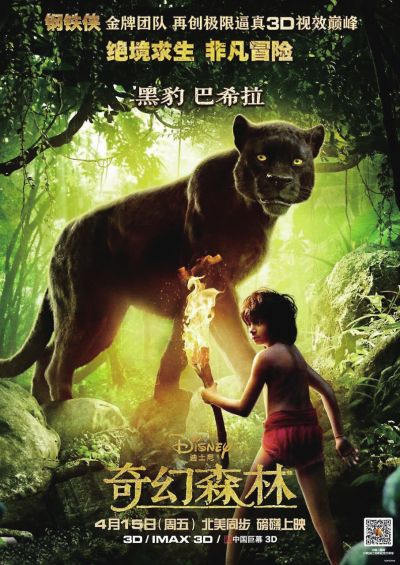 土耳其护照电子版怎么仿制